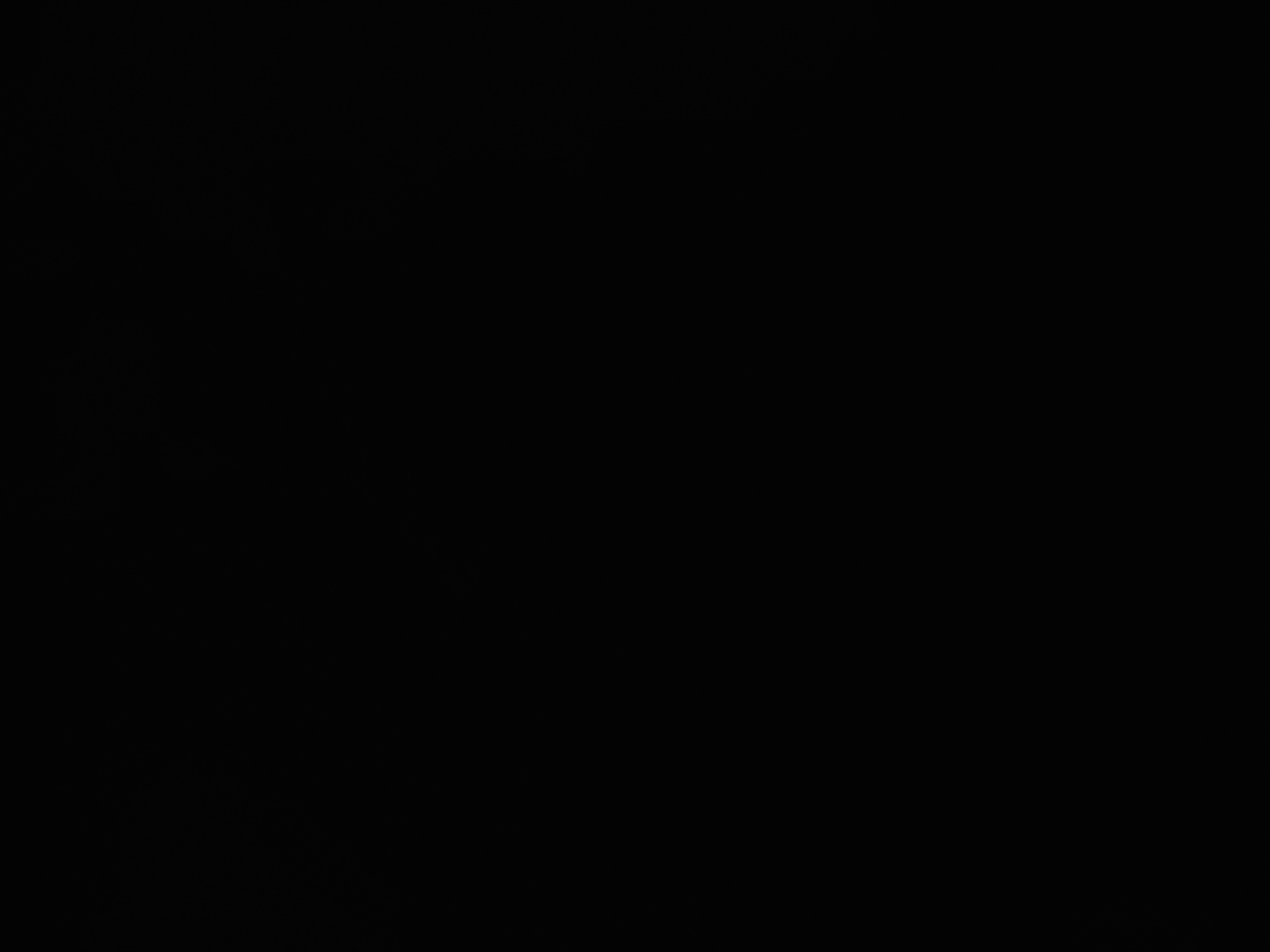 Bioux'Tiful prestation 2